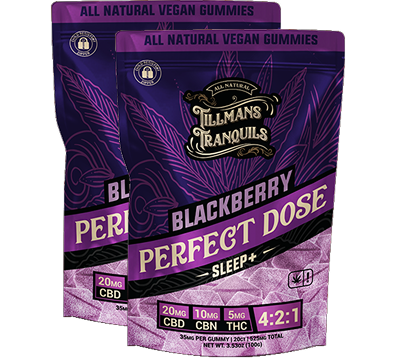 Blackberry-CBD-Sleep-Gummies-With-THC-2-pack