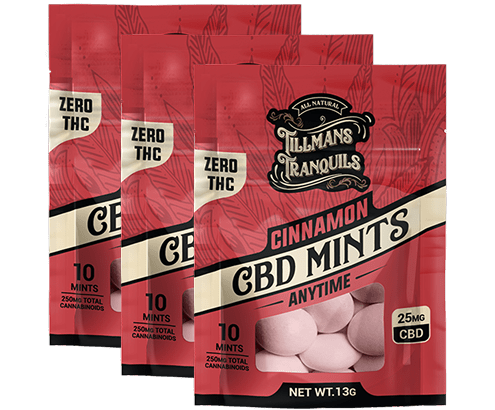 Delicious Cinnamon CBD Mints - 25mg Broad Spectrum - 0 THC