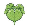 Ginkgo Biloba